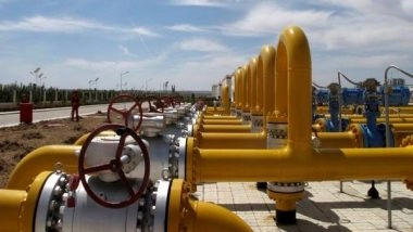 World News | China's Oil and Gas Consumption Declined in 2022 Amid Weakening Economy: Report