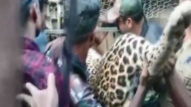 India News | Kerala: Leopard Dies of Mental Shock After Getting Trapped in Chicken Coop in Palakkad