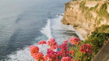 Science News | How Species Adapt: Ancestral Variation Guides Future Environmental Adaptations