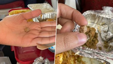 Air India Passenger Finds Stone in In-Flight Meal; Airline Says Strict Action Will Be Taken Against Caterer
