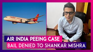 Air India Peeing Case: Delhi Court Denies Bail To Shankar Mishra, Says Act Was ‘Utterly Disgusting’