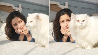 Alia Bhatt Gets Ignored by Her Cat, Actress Says ‘Not So Happy Sundays’ As She Shares Cute Pictures on Instagram