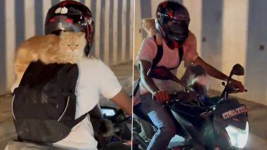 Video: Man Rides Bike With Two Cats on Board in Bengaluru, Adorable Clip Wins Hearts