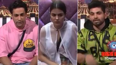 Bigg Boss 16: Shiv Thakare, Shalin Bhanot and MC Stan Review Priyanka Chahar Choudhary's Game Plan (Watch Video)