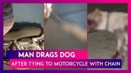 Bihar Shocker: Man Drags Dog On The Road After Tying The Animal To A Motorcycle With Chain In Gaya; Video Goes Viral