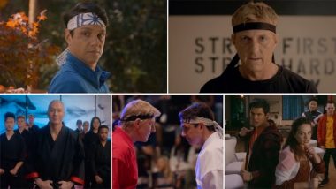 Cobra Kai: The Karate Kid's Netflix Spinoff Series Confirmed to Return for Sixth and Final Season