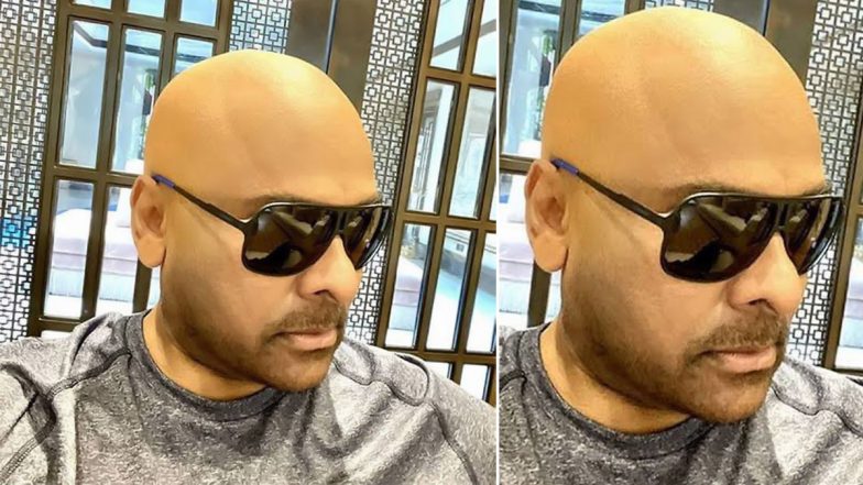 Bhola Shankar: Chiranjeevi Goes Bald for His Next Co-Starring Tamannaah Bhatia and Keerthy Suresh (View Pic)