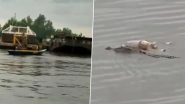 Crocodile Carries Body of Drowned Child on Its Back and Brings It To Rescue Team in Indonesia After Family Failed to Find Him (Watch Video)