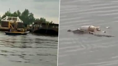 Crocodile Carries Body of Drowned Child on Its Back and Brings It To Rescue Team in Indonesia After Family Failed to Find Him (Watch Video)