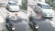 Bengaluru Shocker: Man Deliberately Runs His Car Over Stray Dog, Police Launch Manhunt After Disturbing Video Goes Viral