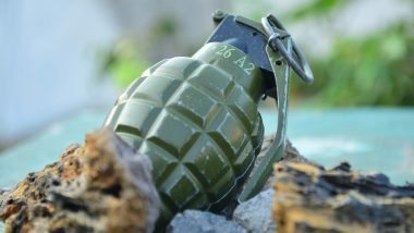 West Bengal: Hand Grenade Recovered in Cooch Behar Sadar Police Court, Diffused by Experts