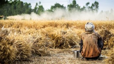 Jalna: Unable to Get Possession of Allotted Land, Farmer Buries Himself Till Shoulder in Ground To Protest (Watch Video)