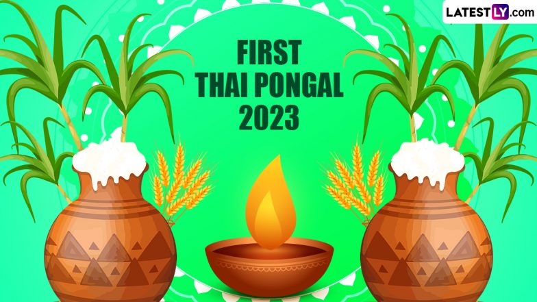 Thai Pongal 2023 Images & Happy Pongal HD Wallpapers for Free Download Online: Share Wishes, WhatsApp Messages, GIFs, Greetings and SMS for the Harvest Festival | ???????? LatestLY