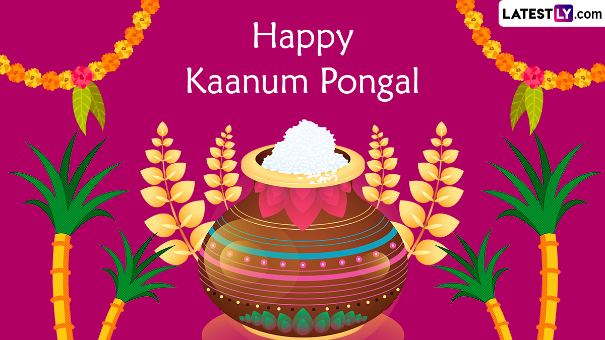 Kaanum Pongal 2023 Date and Significance: Know All About History ...