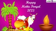 Mattu Pongal 2023 Images and HD Wallpapers for Free Download Online: Share Wishes, WhatsApp Messages and Greetings on the Third Day of Pongal