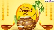 Pongal 2023 Greetings in Tamil and Iniya Pongal Valthukkal HD Images: Share WhatsApp Messages, Wishes, Festive Quotes, WhatsApp Stickers and Facebook Status With Family