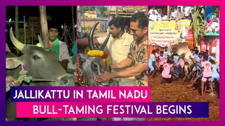 Jallikattu In Tamil Nadu: Bull-Taming Festival Begins In Palamedu, Madurai
