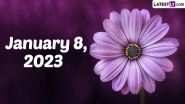 January 8, 2023: Which Day Is Today? Know Holidays, Festivals and Events Falling on Today&rsquo;s Calendar Date