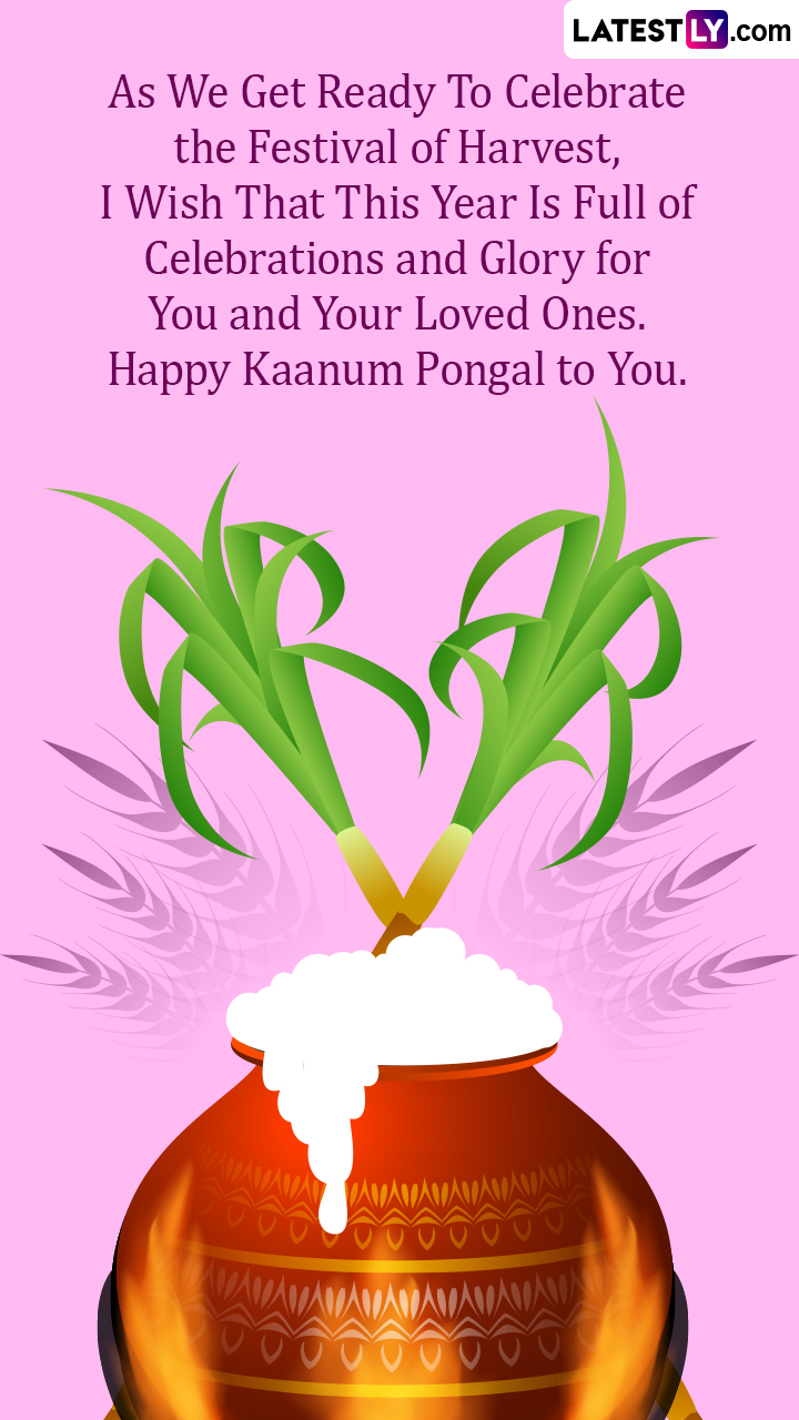 Kaanum Pongal 2023 Wishes, HD Images and Messages To Share ...