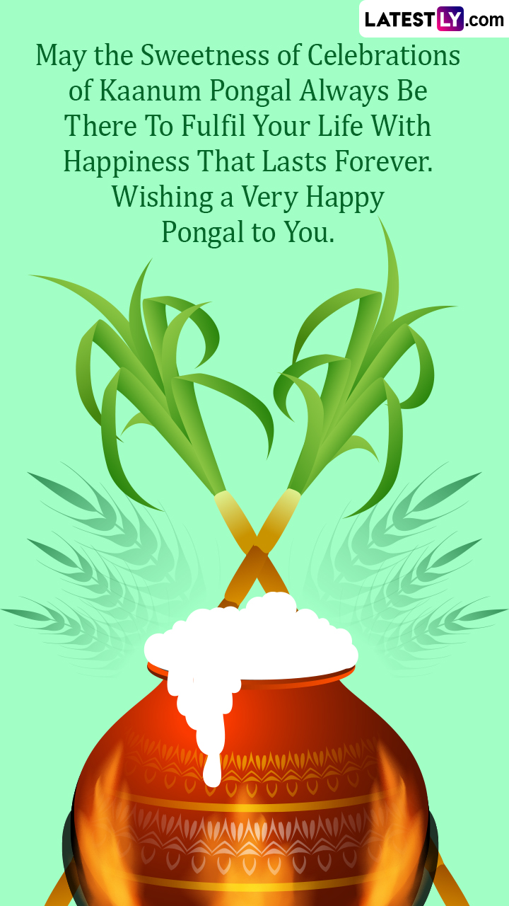 Kaanum Pongal 2023 Wishes, HD Images and Messages To Share ...
