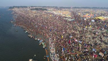 Magh Mela 2023: Mobile Anti-Radiation Chip Called 'Gobar Chip', Other Products Made of Cow Dung in Demand Among Shoppers