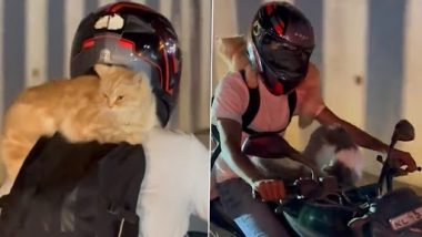 Bengaluru Man Rides Bike With One Cat on His Backpack and Another on the Fuel Tank; Video Goes Viral