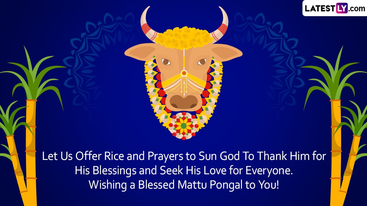 Mattu Pongal 2022 Wishes: Share Quotes, WhatsApp SMS, HD Images For WhatApp  And Facebook To Celebrate The Jallikattu Festival