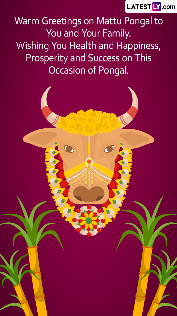 Happy Mattu Pongal 2023 Greetings, Wishes and Messages To Share ...