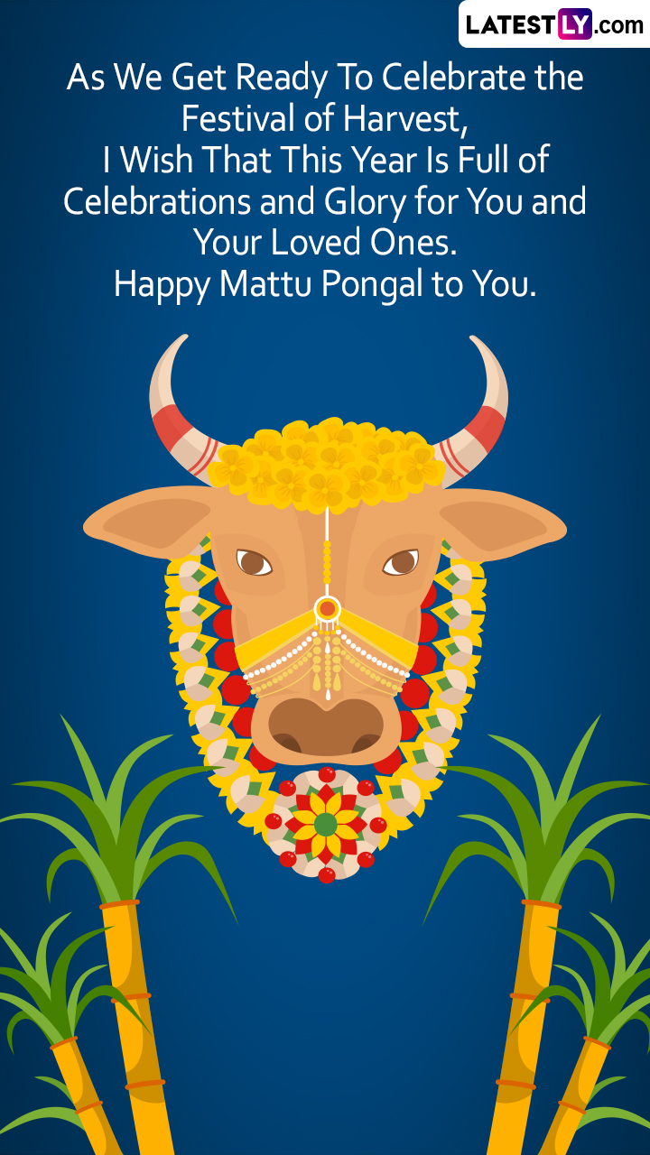Happy Mattu Pongal 2023 Greetings, Wishes and Messages To Share ...
