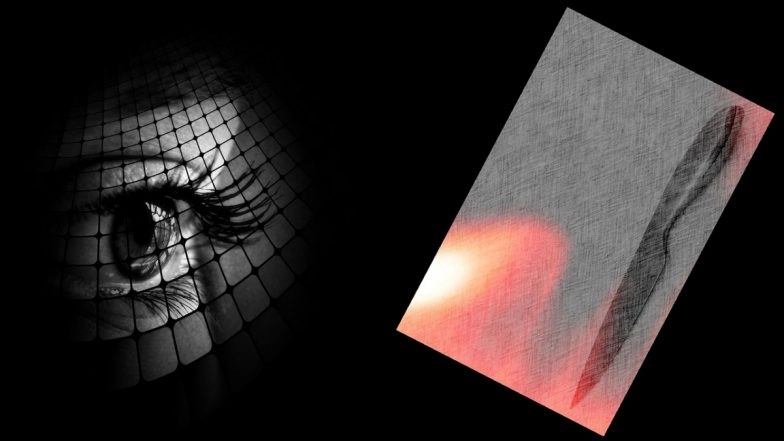 Sex Game Ends With Death! Woman Murders Lover in a Drug-Fuelled Sexual Encounter Before Putting Decapitated Head & Penis in Bucket