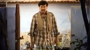 Nanpakal Nerathu Mayakkam Full Movie in HD Leaked on Torrent Sites & Telegram Channels for Free Download and Watch Online; Mammootty &ndash; Lijo Jose Pellissery&rsquo;s Film Is the Latest Victim of Piracy?