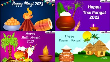 Pongal 2023 Start Date & Full Calendar: Bhogi, Surya or Thai Pongal, Mattu Pongal and Kaanum Pongal, Know Everything About the 4-Day Long Harvest Festival