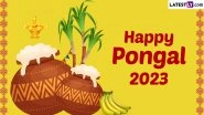Happy Pongal 2023 Greetings, Wishes & Quotes: Send HD Images, Wallpapers With Festive Messages & WhatsApp Stickers To Celebrate the Multi-Day Harvest Festival