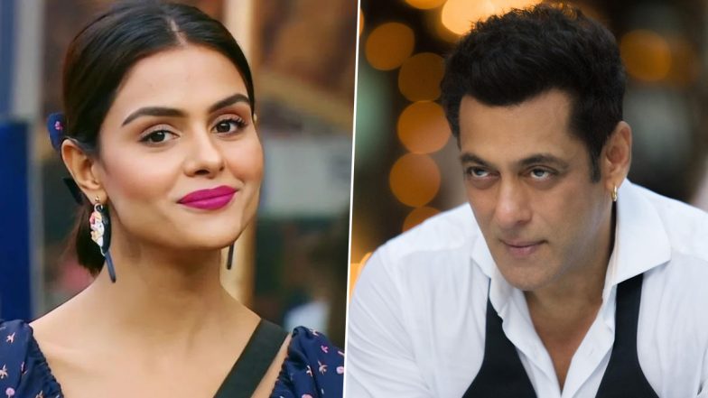 Bigg Boss 16: Salman Khan to Launch Priyanka Chahar Choudhary in Bollywood?