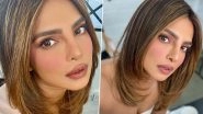 Priyanka Chopra&rsquo;s Latest Insta Post Is Enough To Prove That Her Glam Game Is Always on Point (View Pics)
