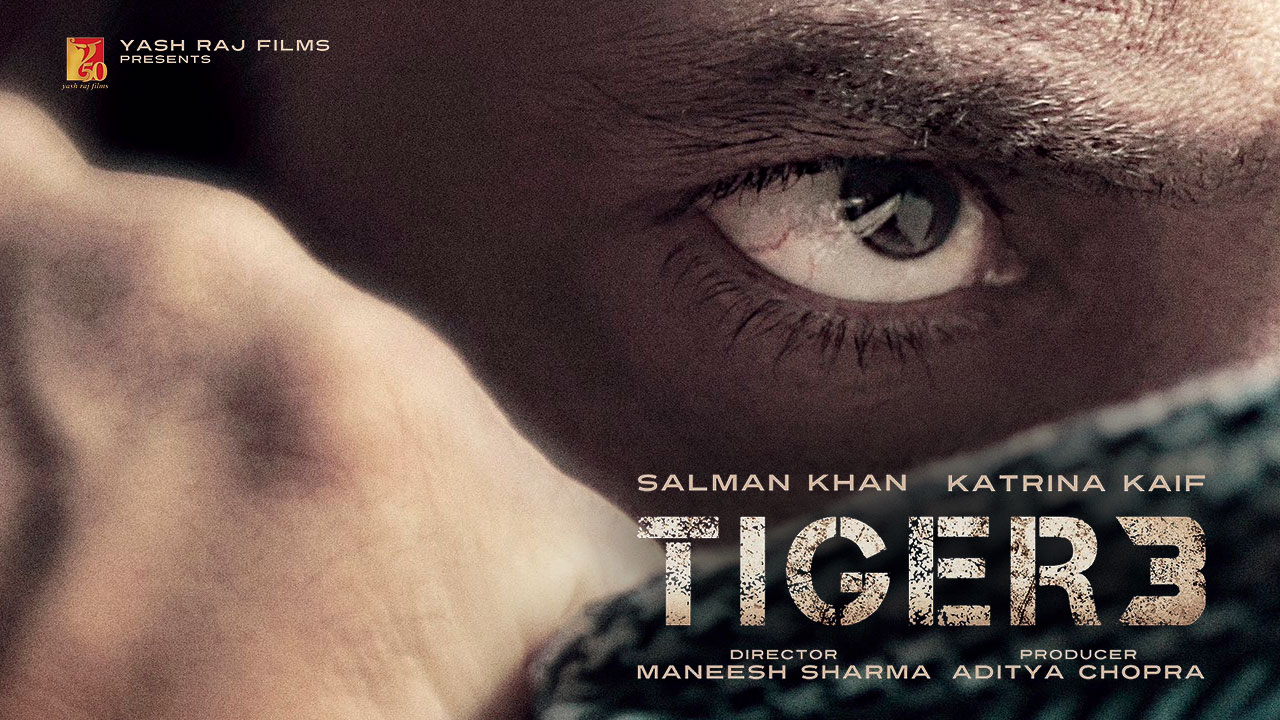 Pathaan: From Salman Khan's Tiger 3 to Hrithik Roshan's War, 7 ...