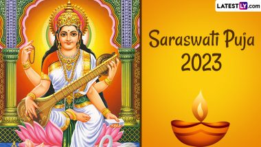Saraswati Puja 2023: From Gnana Saraswati in Basara to Shree Saraswati Temple in Pushkar; 5 Famous Temples Dedicated to Hindu Goddess of Knowledge