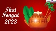 Happy Thai Pongal 2023 Greetings and Messages: Wishes, Facebook Status Pictures, SMS, Images and HD Wallpapers To Celebrate the Harvest Festival of Tamil Nadu