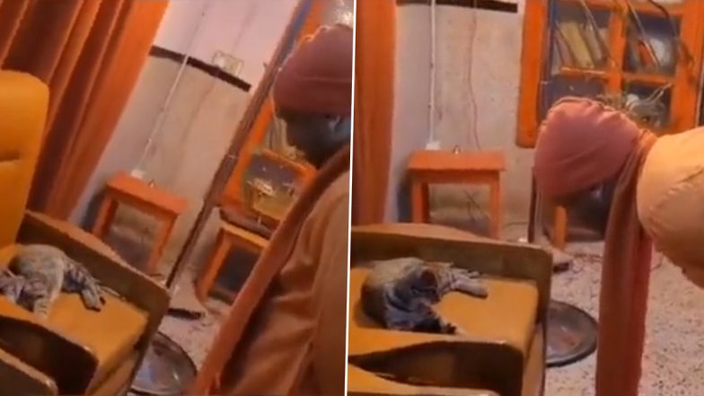 Uttar Pradesh CM Yogi Adityanath Seen Playing With Cat, Cute Video Goes Viral