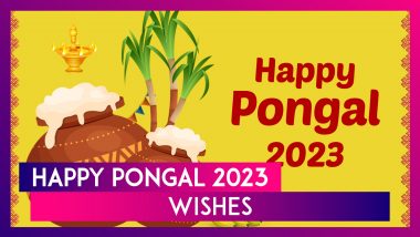 Happy Pongal 2023 Wishes, Greetings & Messages: Share Images To Celebrate the Harvest Festival