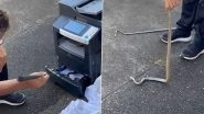 Venomous Eastern Brown Snake&nbsp;Found Hiding Inside Printer Paper Drawer&nbsp;By Frightened Receptionist; Watch Viral Video&nbsp;