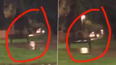 Ghost of Soldier? Man Captures Spooky Shadowy Figure Sitting on a Bench Near a War Memorial; Viral Video Will Scare You Senseless!