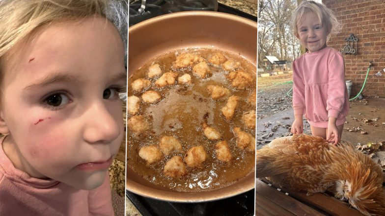 Pet Rooster Turned Into Dinner By Mom and Eaten After It Allegedly Attacked Her Daughter in Mississippi; Internet Has Its Say (See Viral Pics)