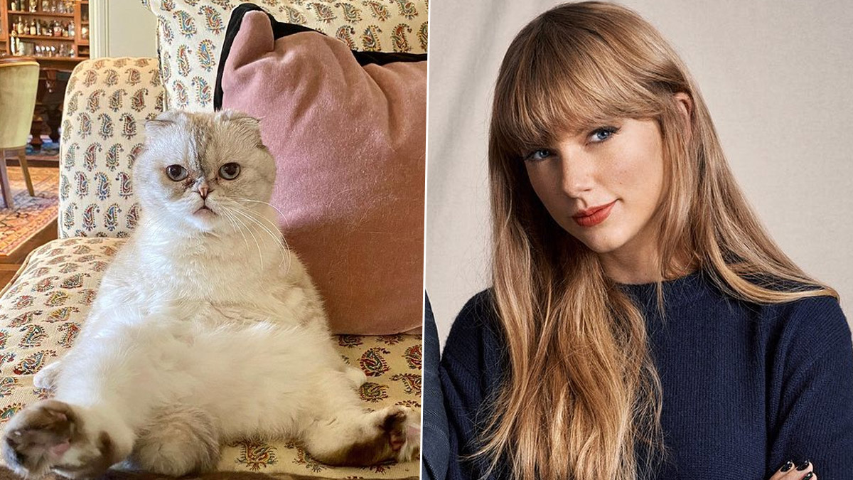 Agency News Taylor Swift’s Cat Olivia Benson Is the Third Wealthiest