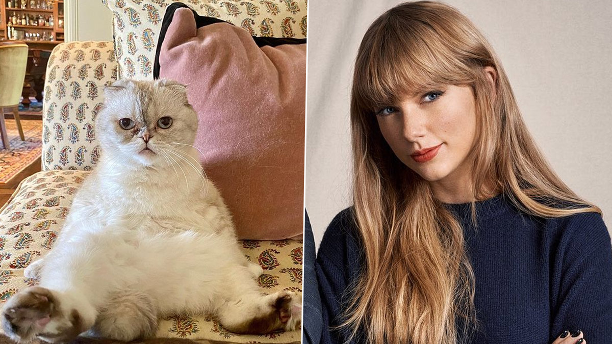 Taylor Swift Cat Olivia Benson