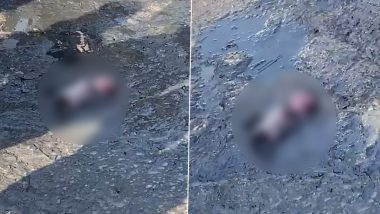 Noida Horror: Body of Infant Found in Canal in Phase-1, Case Registered (Disturbing Video)