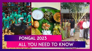 Pongal 2023 Full Calendar: Know Dates Of Bhogi, Thai Pongal; Significance & Celebrations Of The Festival Observed In Tamil Nadu
