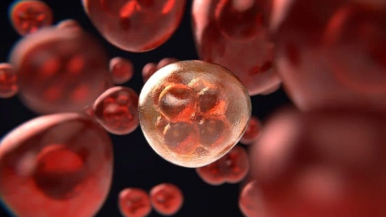 Indian Scientists Discover New Anti-Cancer Agent With Exceptional Results