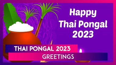 Thai Pongal 2023 Greetings and Images: Share Wishes To Celebrate the South Indian Festival