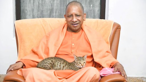 Uttar Pradesh CM Yogi Adityanath Doting on Cat Goes Viral on Last Day of 2022 (See Pic)